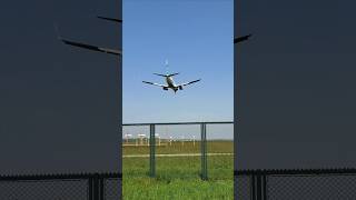 Transavia landing At Eindhoven Airport ✈️ [upl. by Sugirdor]