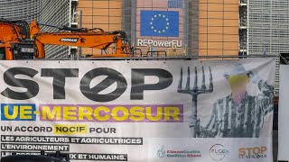 UEMercosur  la France peutelle faire échouer le traité Mercosur [upl. by Allegna]