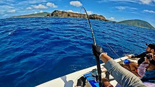 On Fait Plier Les Cannes à Bord de Tata Yoyo  Pêche Aux Saintes [upl. by Teevens732]