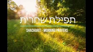 Shacharit Morning Prayers תפילת שחרית [upl. by Gardy]