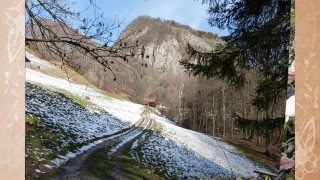 6 Februar 2016 Römerweg und Schollbergstrasse Wanderung SargansTrübbach und zurück [upl. by Babbie]