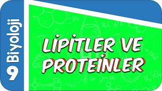 9 Sınıf Biyoloji Lipitler ve Proteinler 2022 [upl. by Arielle162]