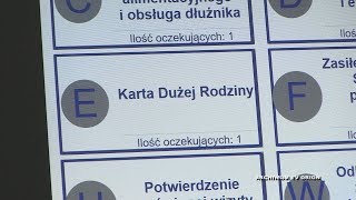 Karta dużej rodziny w cenie [upl. by Eillen36]