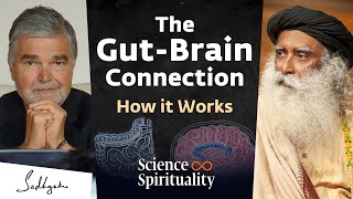 Gut Microbiome Fermented Foods amp the Power of Your Second Brain  Dr Emeran Mayer amp Sadhguru [upl. by Ellebanna]