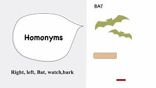 Homonyms  Homophones  Homographs [upl. by Fesuy]