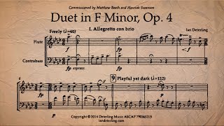 Duet for Flute and Contrabass in F minor [upl. by Adnohrahs591]