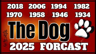 Chinese Dog Zodiac Sign Forecast for 2025  quotWhat will this year hold for youquot [upl. by Irakuy809]