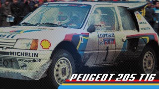 Group B Rally Monster  Peugeot 205 T16 [upl. by Ela]