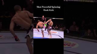 Most Powerful Spinning Hook Kick Tutorial spinkick sidekick martialarts shortsvideo [upl. by Dexter]