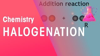 Halogenation  Organic Chemistry  Chemistry  FuseSchool [upl. by Carnay]