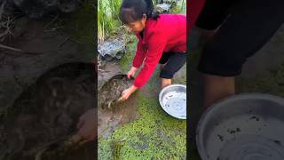 Amazing technique of fishing from sink with filter [upl. by Erusaert]