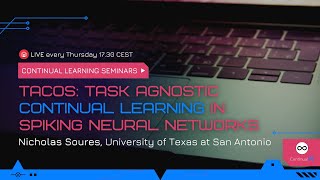 ContinualAI Seminar quotTACOS Task Agnostic Continual Learning in Spiking Neural Networksquot [upl. by Maiah682]