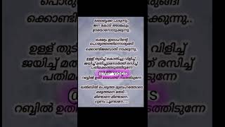 Labbaika paadunnu song lyrics malayalam mappila pattu [upl. by Cathie]