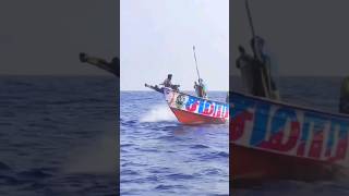 boat race video fishing tnfishermen fishing status video [upl. by Ahsaele167]