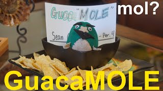 GuacaMOLE  Another Chemistry Song [upl. by Klarika849]