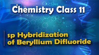 sp Hybridization of Beryllium Difluoride  Nature of Chemical Bond  Chemistry Class 11 [upl. by Alverta92]