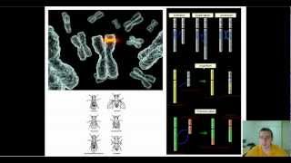 Microevolution Through Mutations [upl. by Ddene835]