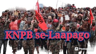 TNI dan Polri Bubarkan Paksa Aksi Damai KNPB seLaapago Peringati New York agreement 15 Agustus 2024 [upl. by Ailongam]