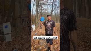 Get a Cardinal from Stokely Discs at your local pro shop or vendor Always shop local first [upl. by Older]