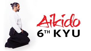 Aikido Techniques for Beginners  6th Kyu Test Requirements [upl. by Gaelan]