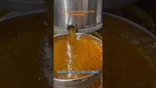 HONEY STRAINING PROCESS Raw honey strained after extraction [upl. by Madge]