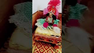 Phoolon mein saj rahe hai Shri Vrindavan Bihari laddu Gopal short video 🙏🌹🙏 [upl. by Einnoc]