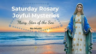 Virtual Rosary Saturday  Joyful Mysteries  Saturday Rosary  Follow Along Rosary  No Music [upl. by Chilcote]