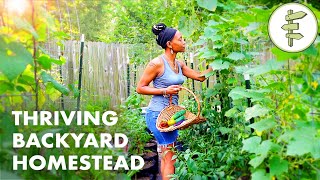 Womans Incredible Backyard Homestead Produces TONS of Food for Her Family – URBAN GARDEN TOUR [upl. by Gebhardt509]