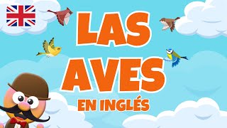 LAS AVES EN INGLÉS  INGLÉS PARA NIÑOS CON MRPEA  ENGLISH FOR KIDS [upl. by Aicirtam]