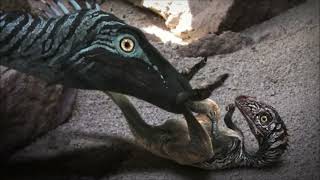 Mesozoic Age of the Dinosaurs  Eoraptor vs Chiniquodon [upl. by Edda]