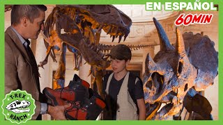 Parque de TRex  Dinosaurios antárticos para niños y nuevos fósiles en el museo [upl. by Durnan296]