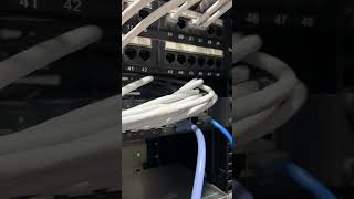 Server Room switch router trendingreels switch reelsfbシ fypシ゚ switch router Server internet [upl. by Ilrahs]