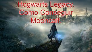 Hogwarts Legacy Como Conseguir Mooncalf [upl. by Abel900]