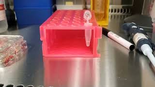 Testing the Neon Transfection System with 100uL tips [upl. by Hillery]