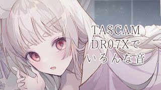 【ASMRTASCAM DR07X】いろんな音詰め込み【新人VTuber兎神とと】 [upl. by Aztiraj]