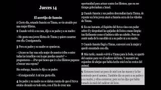 Jueces 14  Biblia Dramatizada NTV [upl. by Esiuqram]