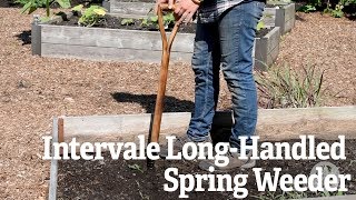 Intervale Long Handled Spring Weeder [upl. by Anivlis851]