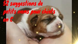 🐶🐺52 suggestions de petits noms pour chiots en C 🍀🌞 [upl. by Tlaw25]