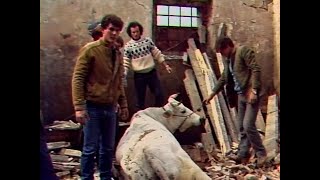 Terremoto Umbria 29 aprile 1984  Prime immagini RAI [upl. by Nered]