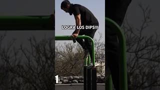 FONDOS EN PARALELAS  Apóyate con las Bandas Elásticas Calistenia amp Workout [upl. by Nessa]