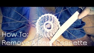 How To Remove A Rear Cassette From A Rear Wheel [upl. by Aitra]