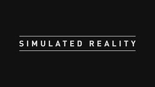 Simulated Reality [upl. by Sackey424]