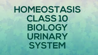 HOMEOSTASIS CLASS 10 BIOLOGY URINARY SYSTEM [upl. by Charpentier]