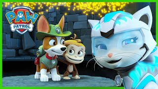 Cat Pack and Tracker save a Monkey in the Jungle  PAW Patrol  Cartoons for Kids Compilation [upl. by Nehtiek]