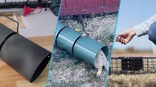 Top 10 Squirrel Trap in 2024 Top Picks [upl. by Soalokin]