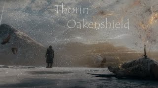 Thorin Oakenshield [upl. by Rehtaef325]