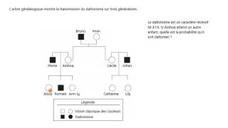 Arbre généalogique pour déterminer la probabilité dexprimer des traits récessifs liés au sexe [upl. by Katuscha]