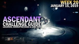 Ascendant Challenge Week 20 Guide  Corrupted Eggs Lore Item Location amp Solo Clear [upl. by Witcher]