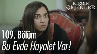 Bu evde hayalet var  Kırgın Çiçekler 109 Bölüm [upl. by Ayekan]