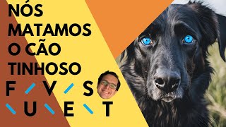 “Nós matamos o cão tinhoso” livro de Luís Bernardo Honwana FUVEST 2024 2025 2029 [upl. by Joseito244]